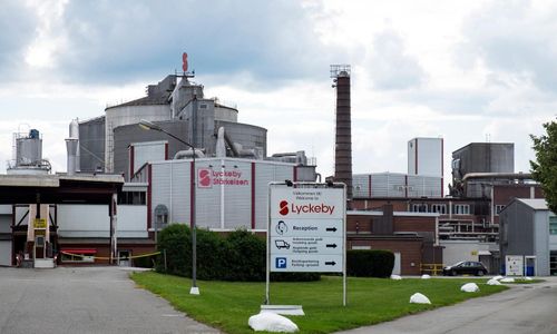 Provresultat visar sämre potatisskörd än väntat