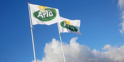 Mjölkpriset sänks – valutaeffekt dämpar fallet