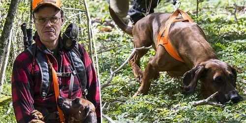 Eftersöksjägaren: ”Fullärd blir man aldrig”