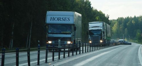 Hästlastbil krockade med älg