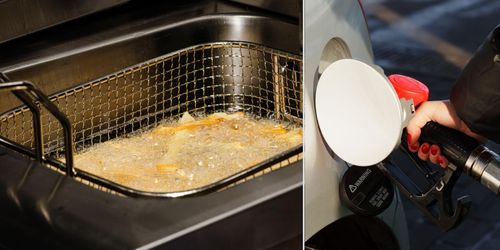 Från fritösen till biltanken