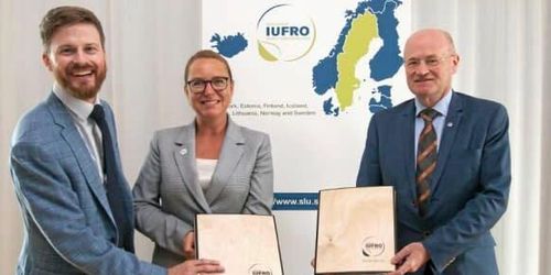 Skogsvärlden möts i Sverige