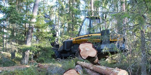Arbetsmiljöverket tittar närmare på dödsolyckor