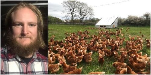 Tvingades avliva sina höns – nu får han rätt