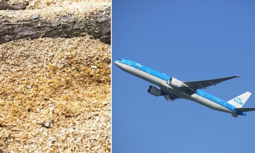 Skogsägare gynnas av biobränsle för flyg