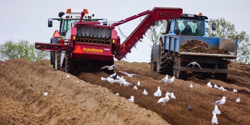 Så ska bonden hitta rätt personal
