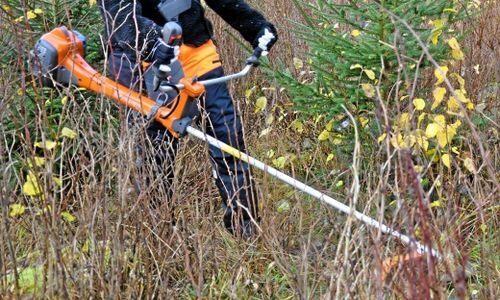 Satsning på enkla gröna jobb fortsätter