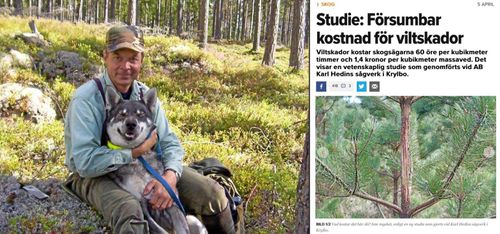 Karl Hedin om kritiken