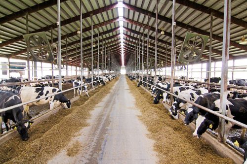 Minister vill lyfta amerikansk export