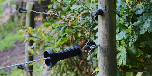 Håll koll på dina elstängsel i värmen