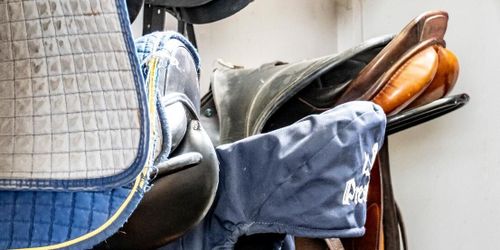 Stal sadlar för över en miljon – åtalas