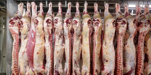 Slaktbranschen vill prata avgifter med landsbygdsministern