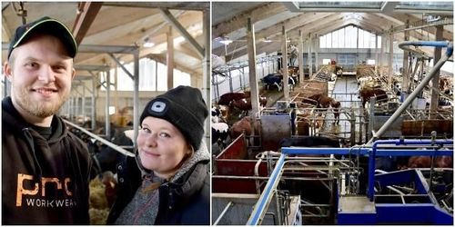 Unga lantbrukare ville bygga eget – valde arrende