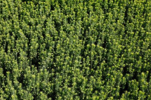 Ökar kapaciteten för 40 miljoner