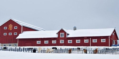 ”Eleverna ska inte behöva bli lidande”