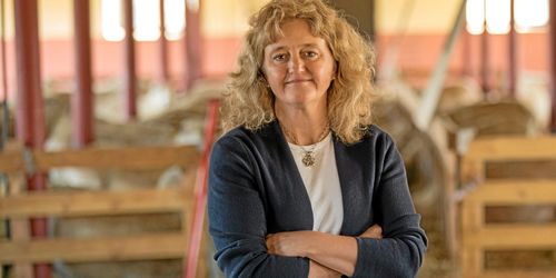 Krav: ”Inte systemfel i kontrollen”