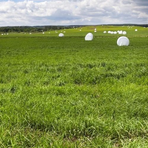 Hamra Gård ökar vallarealen rejält