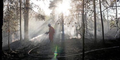 Efter skogsbränderna: Försäkring dubbelt så dyr