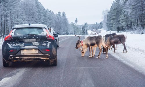 Vägsaltet het fråga runt om i landet