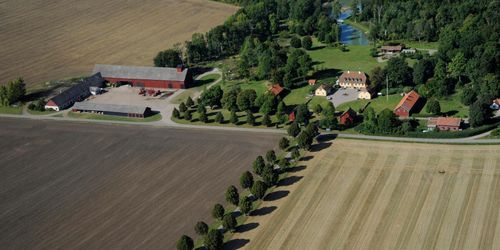 Nya taxeringsvärden för 356 000 lantbruksfastigheter