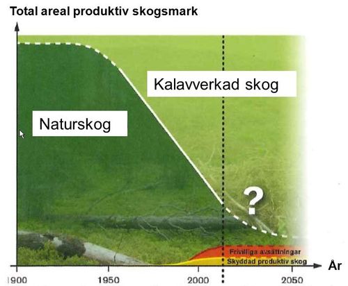 Skogsstyrelsens ändring kan missleda skogsägare