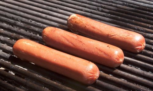 Djuraktivister möttes av korvgrillare