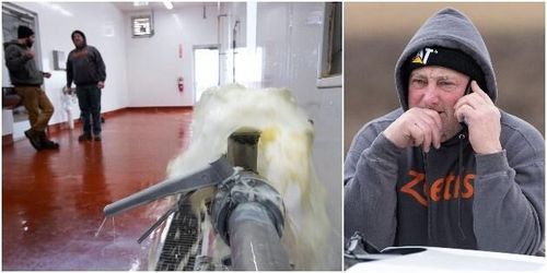 Han tvingas vaska 95 000 liter mjölk om dagen