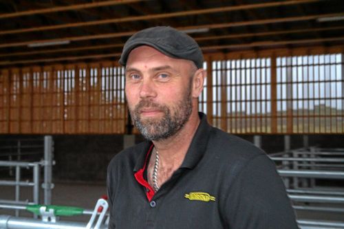 Nu får dikorna göra comeback