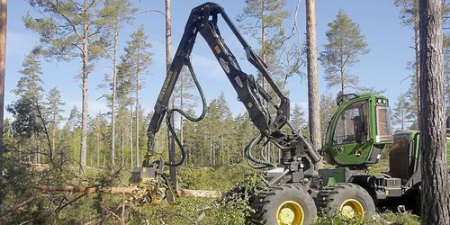 Avverkningsrusch i Svealand