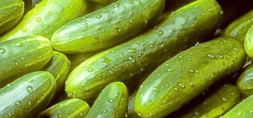 EUs onödiga detaljregler slår hårt mot ekoodlingen