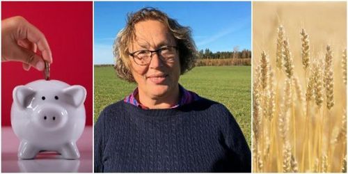 Ekonomicoachen: Långsiktig plan viktigast för god lönsamhet