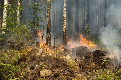 Hög brandrisk i stora delar av Sverige