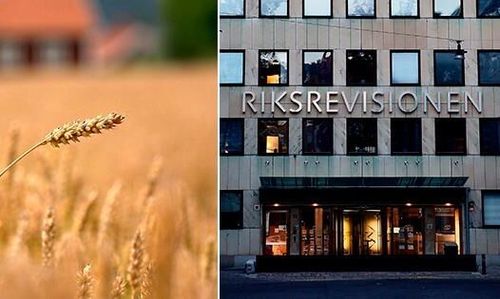 Landsbygdsprogrammet sågas i ny rapport