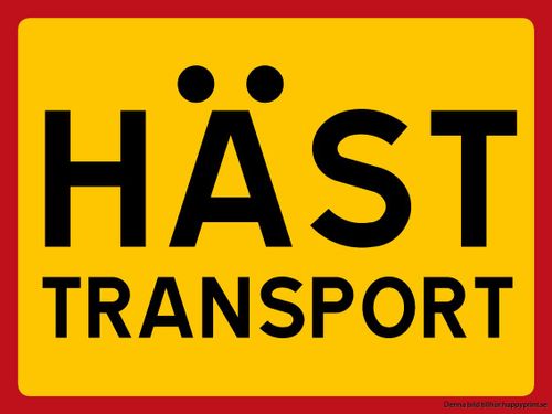 Stulna hästbilar blev bedragarens fall