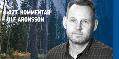 Corona har inte påverkat skogsmarkspriserna – än