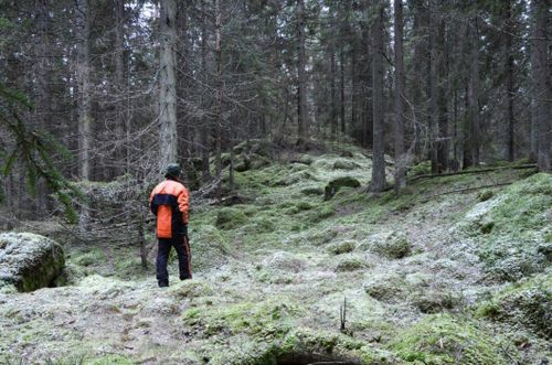 Ny rapport - här finns framtidens jobb