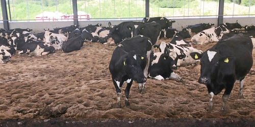 ATL TV: Billigare bygge med sandbädd