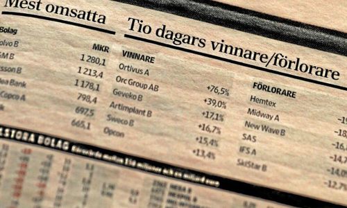 Försäkringsbolag plöjer ner vinsten i skog