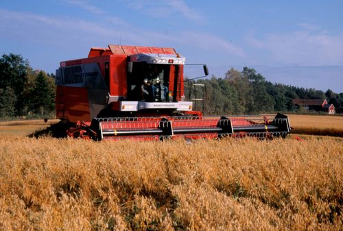 Nu rekommenderas provtagning för don mot all sent skördad havre.