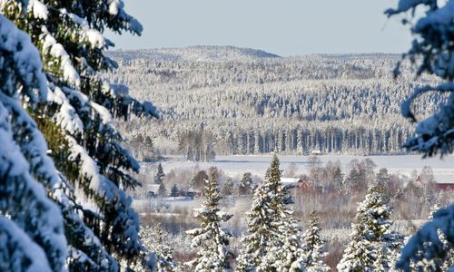 Myndigheterna hade kunnat agera annorlunda