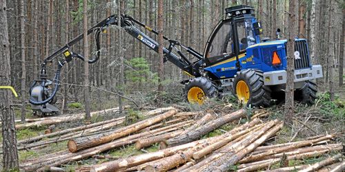 Stor potential att öka produktionen i skogen