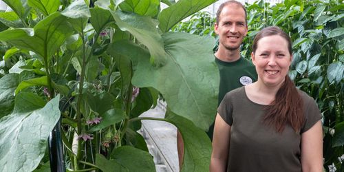 De höjde omsättningen med 7 miljoner