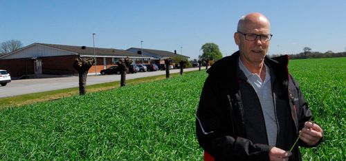 Odlare sökes - men glöm hybrider