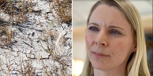 S: Vi gör allt vi kan för att lindra torkkrisen