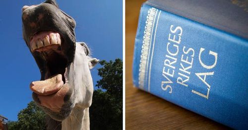 Åklagaren valde att överklaga den friande domen till hovrätten.