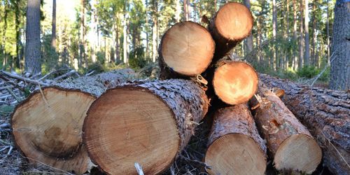 Ny tjänst visar verkliga priser