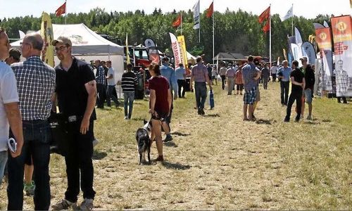 Mässorna som ställt in i år