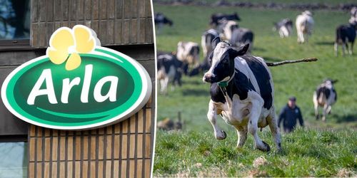 ”Arla har satt sig i knäet på aktivisterna”