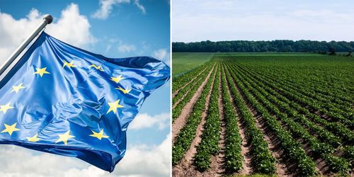 Ökad risk för försenad Cap-reform