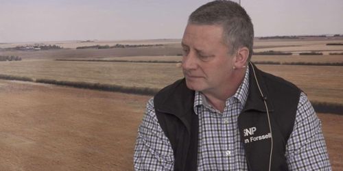 ”Slakterierna har hållit prisbilden uppe”